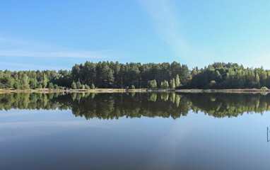 Fototapeta na wymiar Summer landscape with lake, grass, woods, blue sky in daytime.