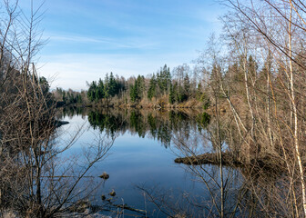 landscape on a small wild pond, blue sky reflected on a calm water surface