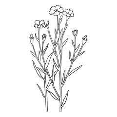 Forget me not flower. 
Realistic, hand-drawn illustration on a blue background. Can be used for postcards, invitations, advertising, web.
