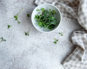 Assortment of micro greens on concrete background