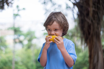 Portrait of funny little boy biting corn in park. Cute toddler enjoying fresh vegetable. Childhood,...