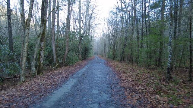 Walking Down Bradley Fork Trail In Early Winter in Great Smoky Mountains National Park