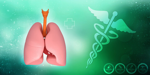 Healthy Human Lungs 3d illustration
