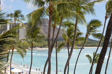 Waikiki beach palm trees and Diamond Head tropical resort