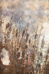 Seeds of cattail on the shore of a forest lake. Dry stalks of reeds. Autumn morning. Digital watercolor painting.
