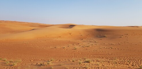 Landscapes