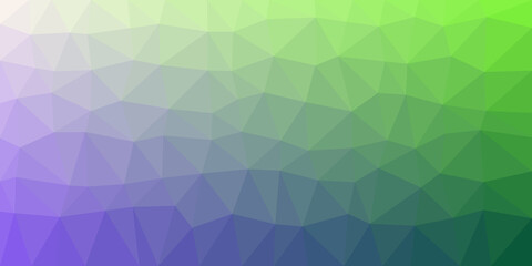 flowers in the garden