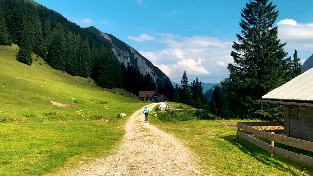 Female mountain biker riding her bicycle in the mountains of the Austria on the way from Musau to the Otto Mayr H&uuml;tte (Lechtal) with mountains, trees and clouds in the background in a sunny summer day