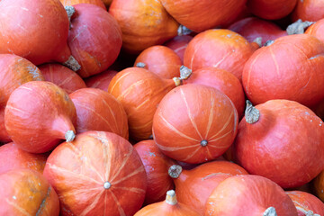 A pile of Hokkaido pumpkins in the fall 