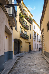 Fototapeta na wymiar View of the street in Seville
