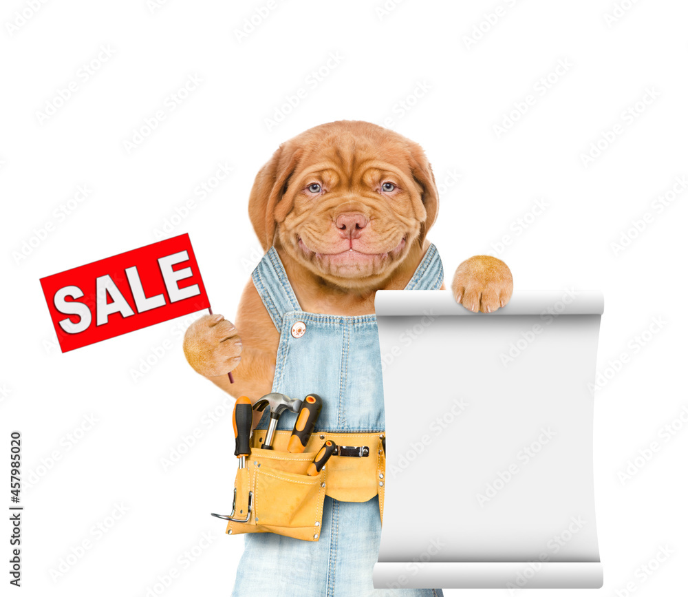 Poster funny mastiff puppy worker wearing tool belt and averalls holds sales symbol and empty list. isolate