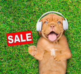 Happy mastiff puppy wearing headphones lies on its back on summer green grass, listens music and shows sales symbol. Top down view