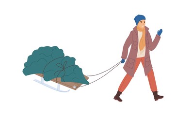 Person carrying Christmas fir tree on sled on winter holidays time. Happy man pulling sledge with fresh festive firtree on Xmas eve in December. Flat vector illustration isolated on white background