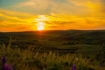 sky, sunset, field, landscape, nature, sun, grass, meadow, sunrise, summer, clouds, cloud, rural, agriculture, horizon, tree, farm, sunlight, land, countryside, autumn, country, morning, view, spring