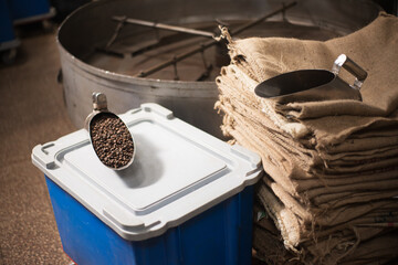 Freshly roasted coffee beans in scoop. Fresh aromatic coffee ready for sale. Bags made of burlap. Production, industry, manufacturing process concept