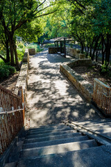 木漏れ日の公園の風景