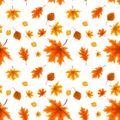 autumn orange and red fallen leaves. seamless pattern. Vector Illustration. EPS10