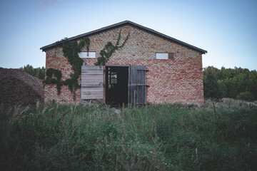 old abandoned agricultural house in Latvia countryside. Wooden doors open, small tiny windows, orange red brick wall overgrown with wild grape