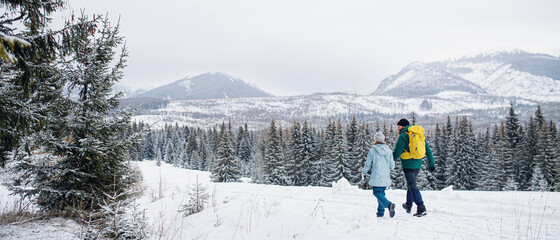 Rear view of father with small daughter on a walk outdoors in winter nature, Tatra mountains Slovakia.