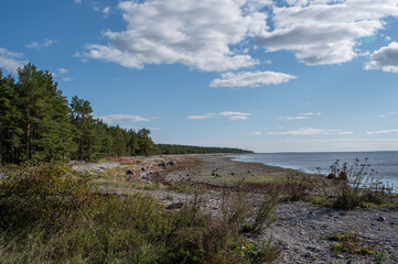 Fototapeta na wymiar landscape in vormsi island estonia europe