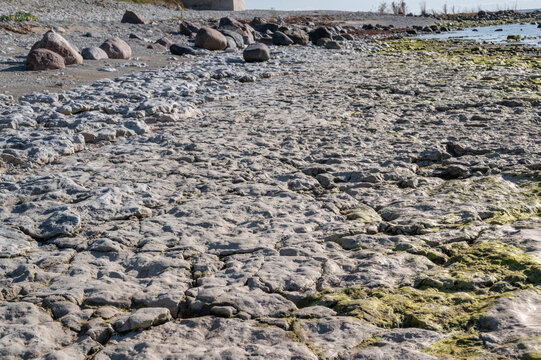 Landscape In Vormsi Island