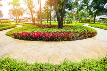 Park tree in the morning with footpath pathway with green plant and flower wood tree, beautiful city park garden nature environment