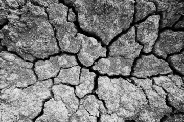 Obraz premium texture desert drought background abstract earth cracked warming global