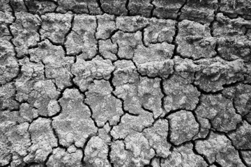 texture desert drought background abstract earth cracked warming global