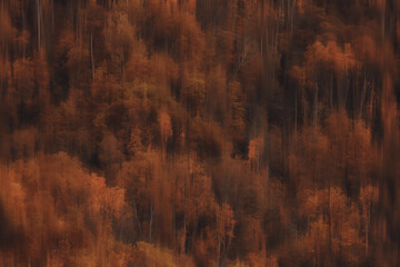 blurred background autumn nature landscape, abstract blur bokeh view of fall trees