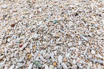 Pieces of dead bleached coral reef washed out on a beach after coral bleaching event on Mahe Island, Seychelles.