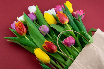 Multicolored tulips on a red background. Spring bouquet. Flowers top view. Beautiful tulip flower background. Tulips close-up