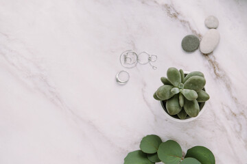 succulent on natural stone table with pebbles and silver jewelry, minimalist background copy space...