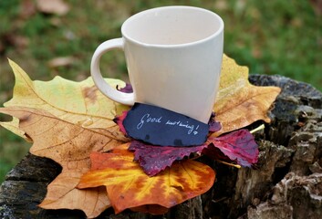 Coffee cup and autumn leaves good morning note