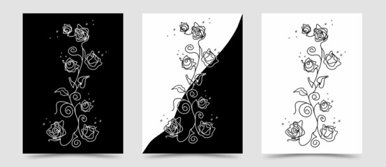 A set of abstract leaves, flowers. isolated roses on a black,white background. hand-drawn illustration in the style of minimalism.  art of one line. for print, wall pan, wallpaper, banner. vector 