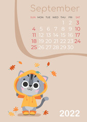 Calendar of 2022 year, September  with cute gray kitty, cat in orange raincoat, coat, boots with falling leaves, numbers on beige. Vector illustration for postcard, banner, web, design, arts.
