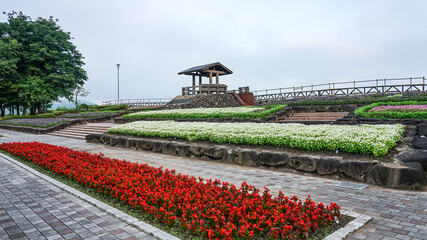 Fototapeta premium 関越自動車道 信濃川を一望できる越後川口サービスエリアの花壇（新潟県長岡市）