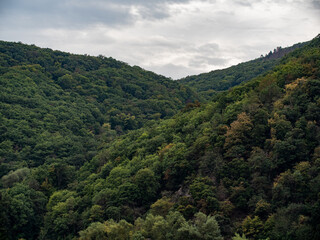 Fototapeta na wymiar Berge, Schluchten und dichter Wald entlang des Rheins an einem bewölkten Tag im September.