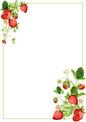 watercolor frame with raspberries for the design of cards, invitations and other