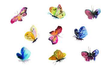 Prachtige aquarel vlinders vliegen, insect geschilderd op witte achtergrond. Artistieke vector illustratie set. Grunge eenvoudige botanische textuur. Roze, gele, blauwe kleuren natuur