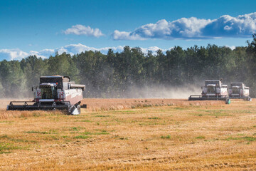 Fototapeta premium Modern combine harvesters working in the field on a clear sunny day