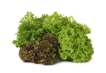 Different sorts of lettuce on white background