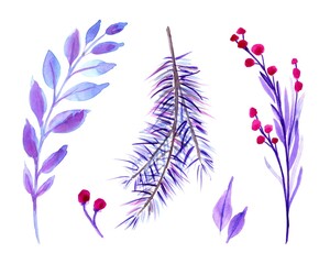 Christmas set of Winter plants. Isolated, white background. Watercolor hand painted illustrations