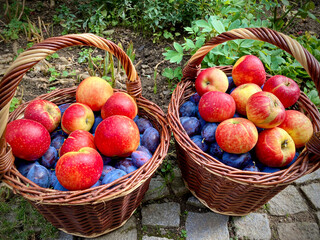 Knitted wooden baskets with blue plums and red apples