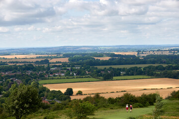 Fototapeta na wymiar View in Chiltern Hills (England) Early September 2021