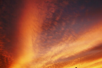 Fototapeta na wymiar orange sky