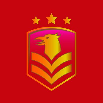 Eagle Head Hawk Beak Bird with Star in Golden Shield emblem badge logo design
