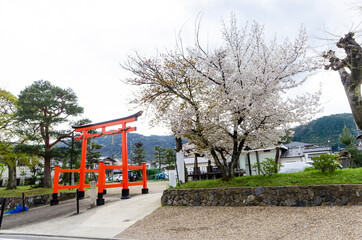 Naklejka na ściany i meble Townscapes of Arashiyama town in spring, Kyoto, Japan.