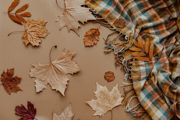 Autumn background decoration from dry leaves Flat lay, top view for Autumn, fall, Thanksgiving concept.