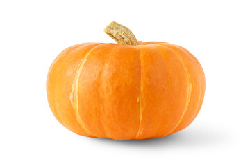 A whole fresh ripe orange pumpkin on a white background. Autumn harvest season.