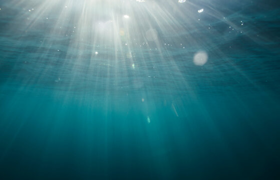 Underwater view of light rays coming through water surface